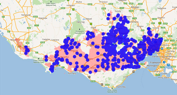 Australian Wood Duck