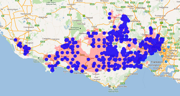 Black-shouldered Kite