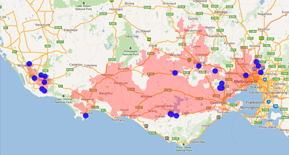 Bougainville's Skink