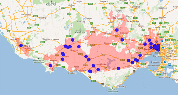 Common Brushtail Possum
