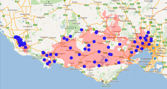 Common Eastern Froglet