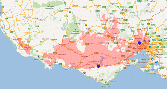 Eastern Sign-bearing Froglet