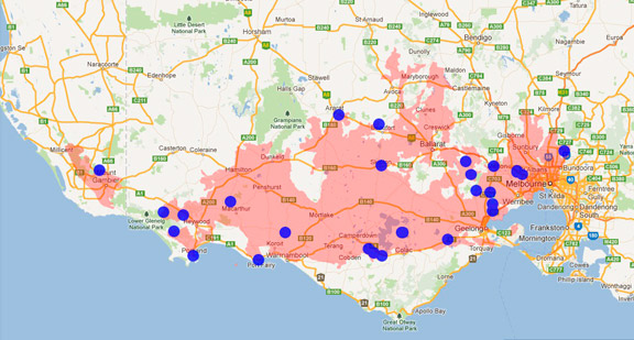 Eastern Three-lined Skink