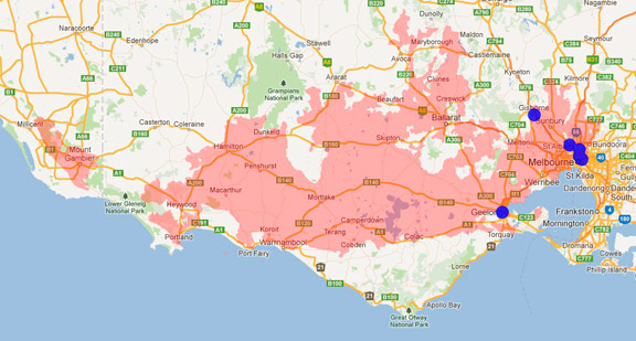 Gum Snout Moth Gum Snout Moth