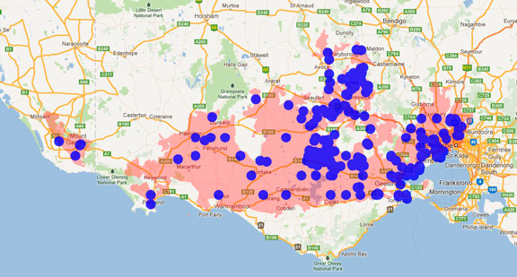 Horsfield's Bushlark