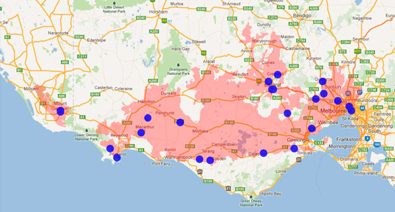 Lesser Long-eared Bat
