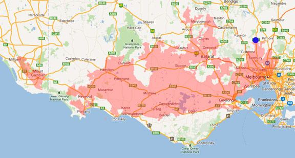 Little Marbled Scorpion