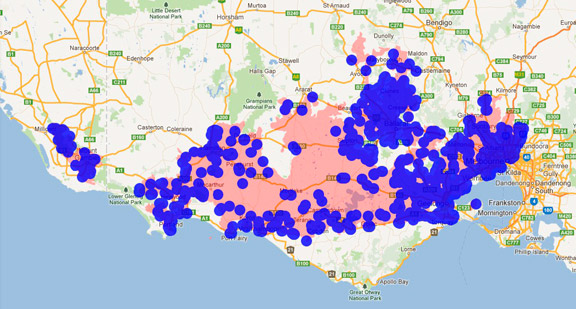 New Holland Honeyeater