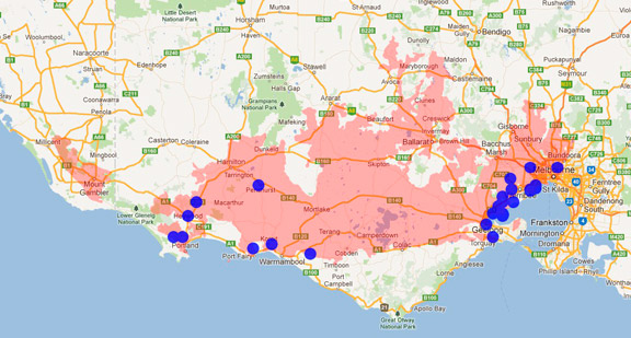 Orange bellied Parrot  (non-breeding)