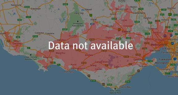 Red and Black Spider