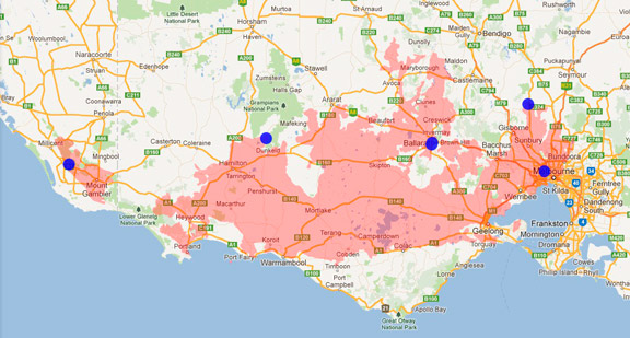 Short-beaked Echidna