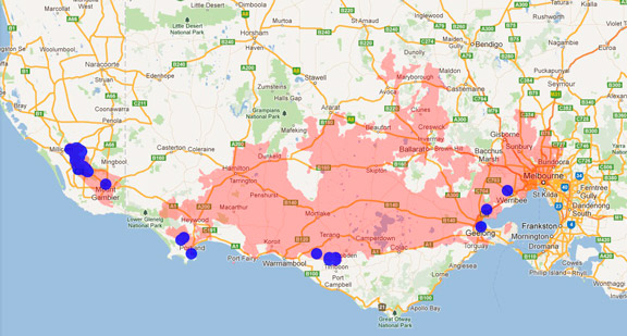 Southern Brown Bandicoot