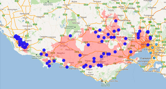 Southern Brown Tree Frog