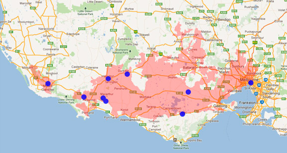 Spot-tailed Quoll Spot-tailed Quoll
