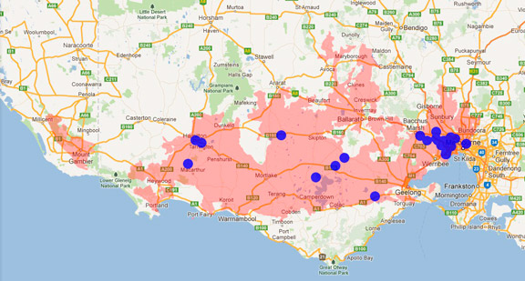 Striped Legless Lizard