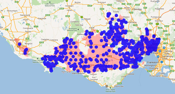 Sulphur-crested Cockatoo