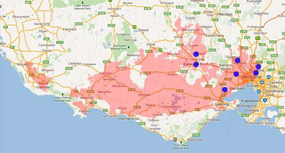 Verreaux's Frog Verreaux's Frog