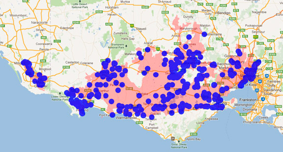 Yellow-tailed Black Cockatoo