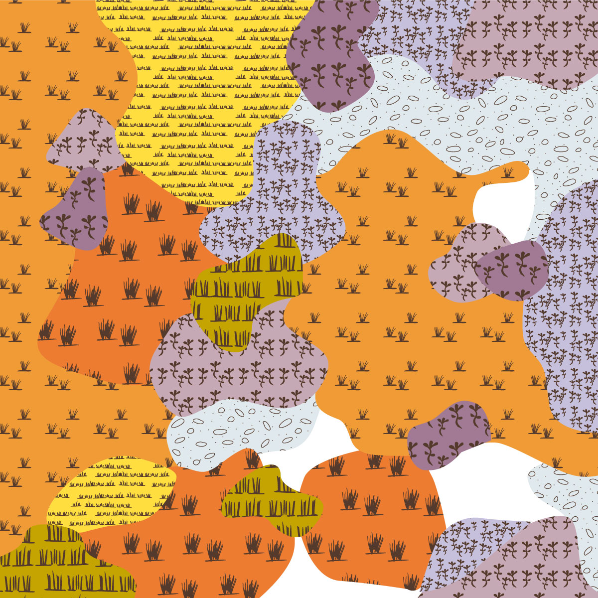 EVC 125 Plains Grassy Wetland image