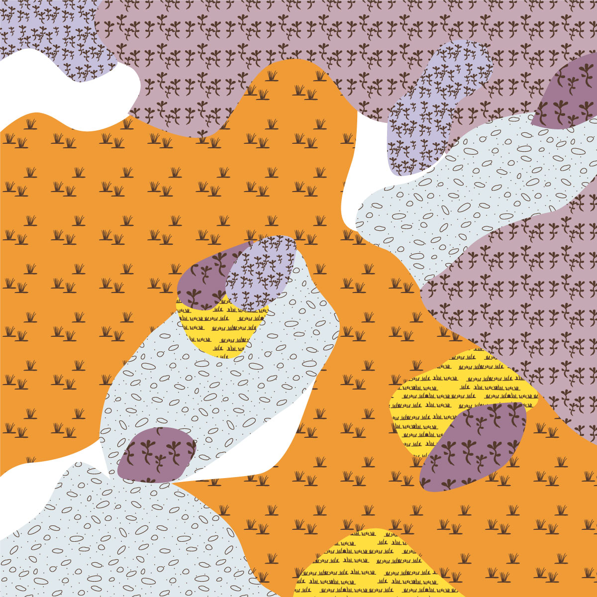 EVC 132_62 Lighter-soils Plains Grassland image