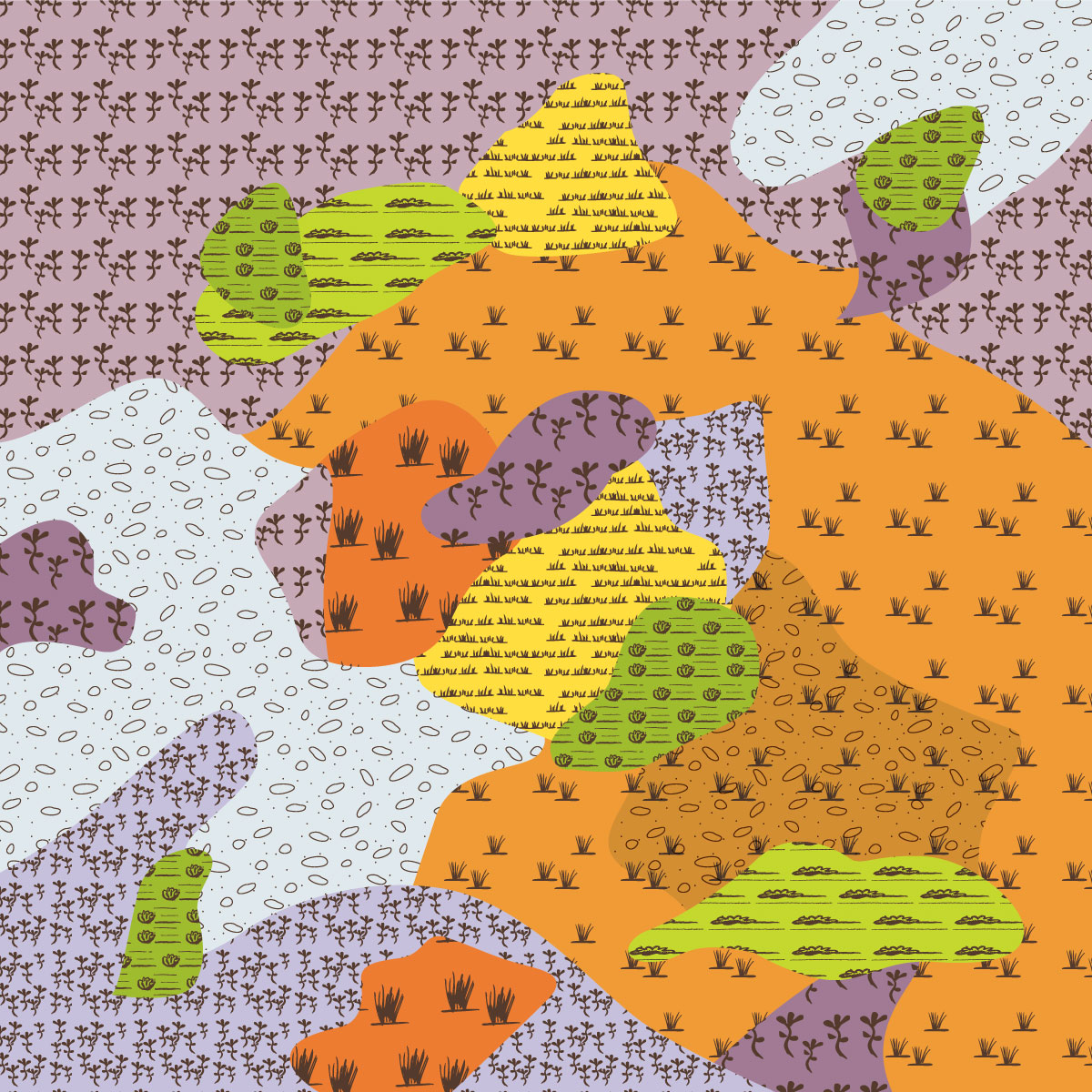 EVC 132_63 Low-rainfall Plains Grassland image