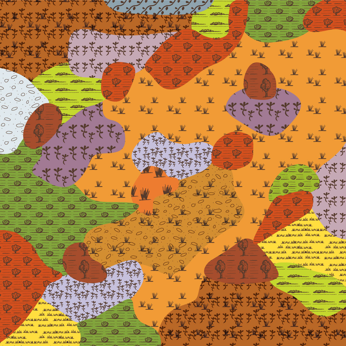 EVC 175 Grassy Woodland image