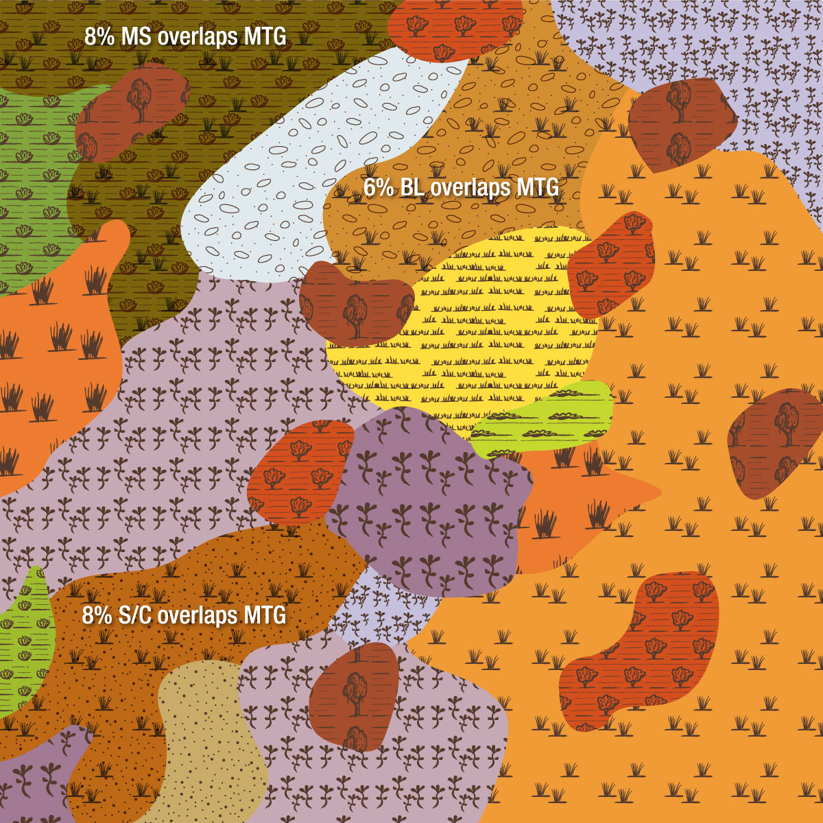 EVC 55_61 Plains Grassy Woodland image