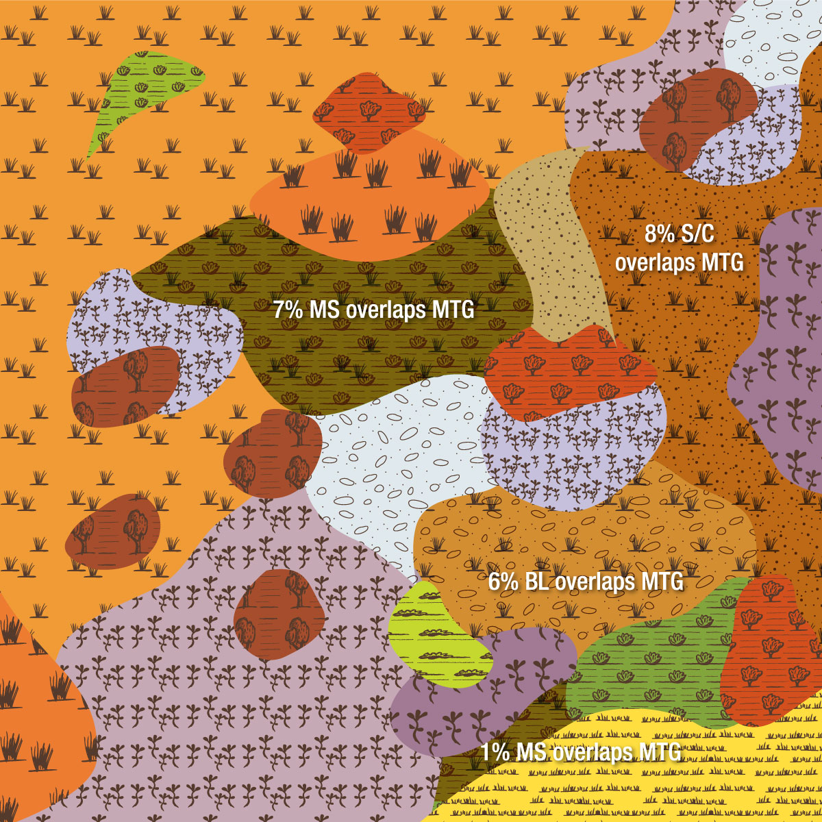 EVC 55_63 Higher Rainfall Plains Grassy Woodland image