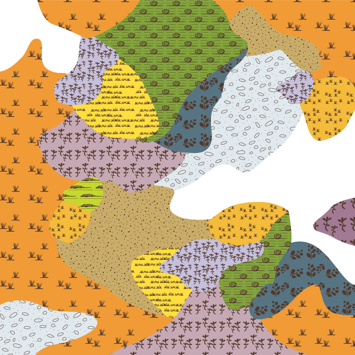 EVC 649 Stony Knoll Shrubland image