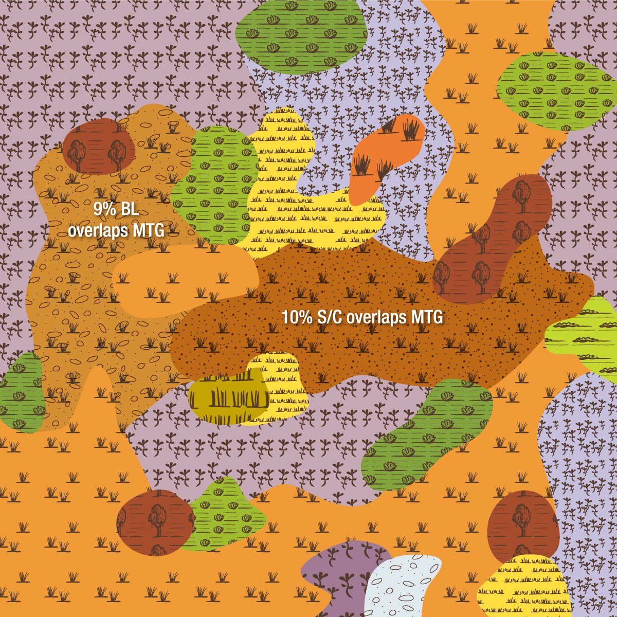 EVC 803 Plains Woodland image